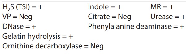 Figure 7-2_45.jpg